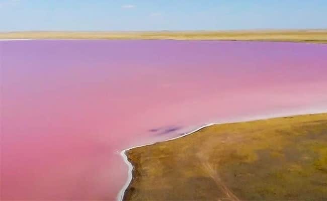 Kobeituz pink lake