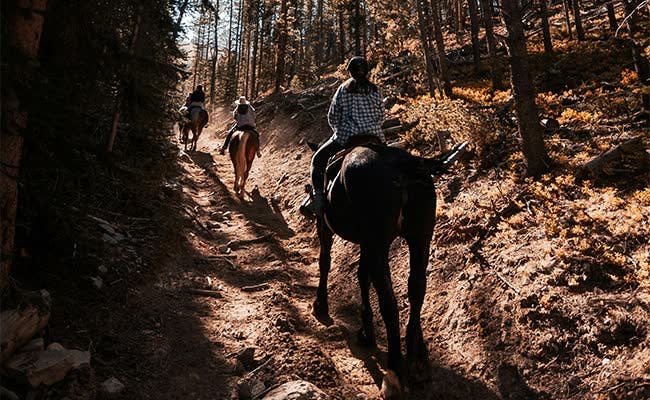 Horse riding in Katon Karagai National park tour /12 days/